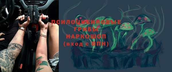 PSILOCYBIN Зеленодольск