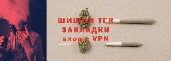 PSILOCYBIN Зеленодольск