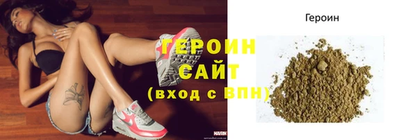 индика Елизово