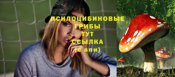 apvp Зеленокумск