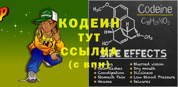 молекула духа Ельня